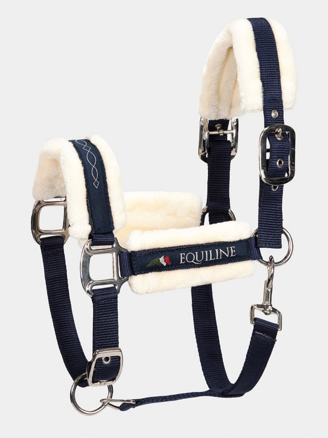 CAVEZZA CON AGNELLO EQUILINE