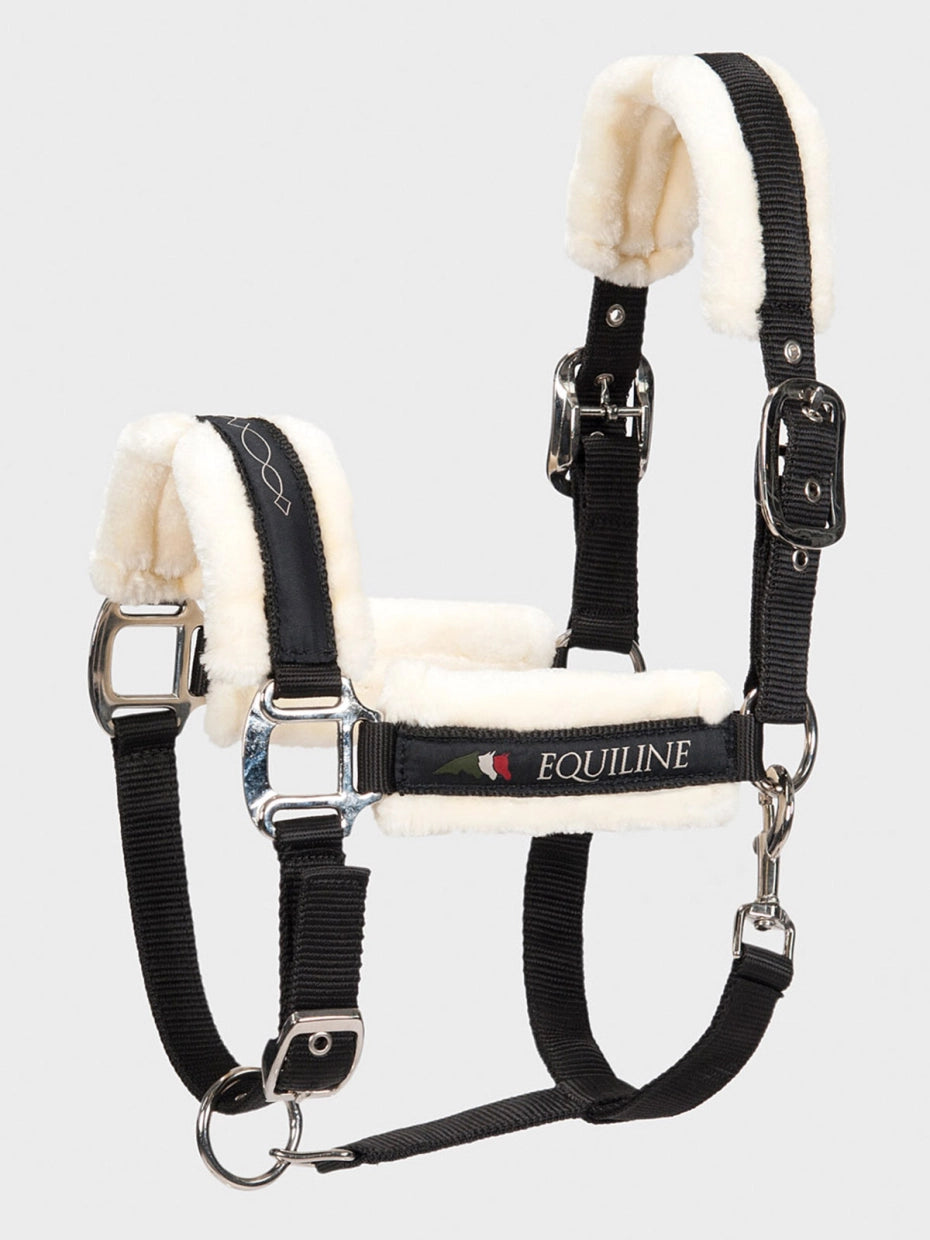 CAVEZZA CON AGNELLO EQUILINE