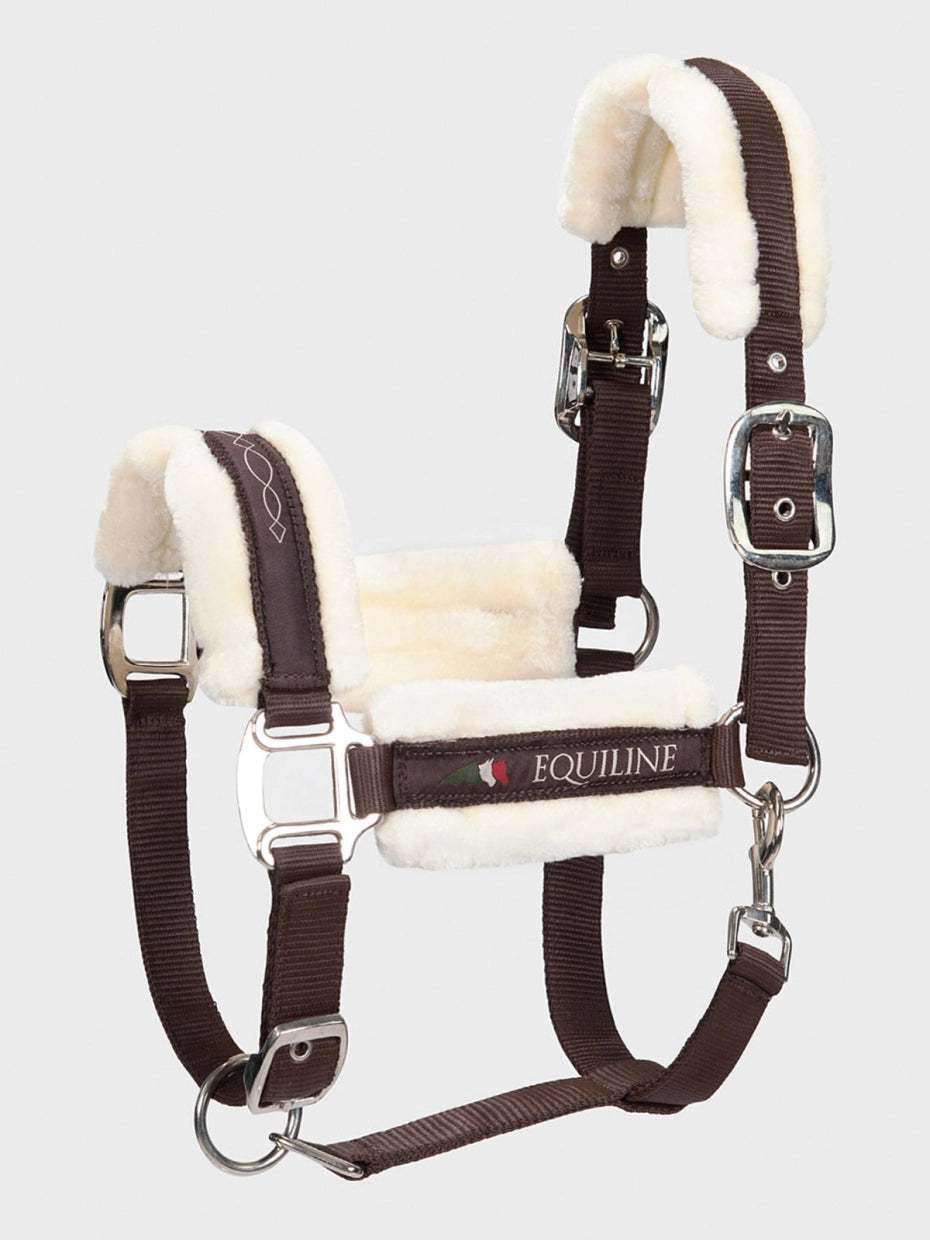 CAVEZZA CON AGNELLO EQUILINE