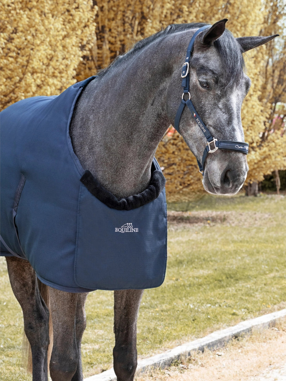 PROTEZIONE PETTO BAVETTE EQUILINE