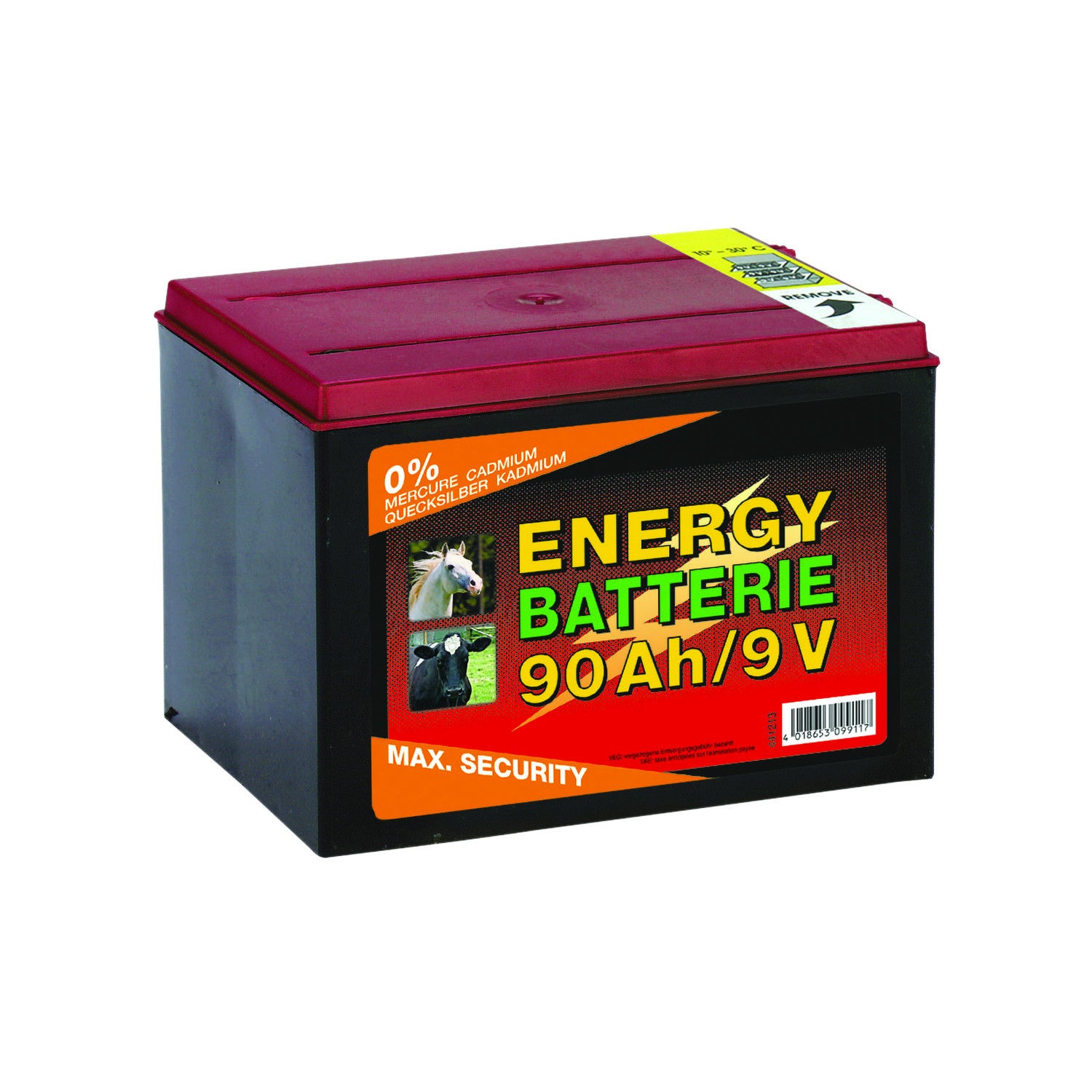 BATTERIA PER RECINZIONI 10000 H