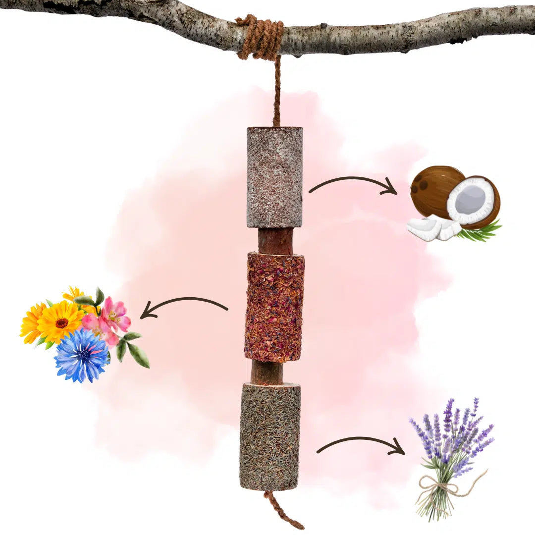HERBAL WOODEN CANDY HORSE