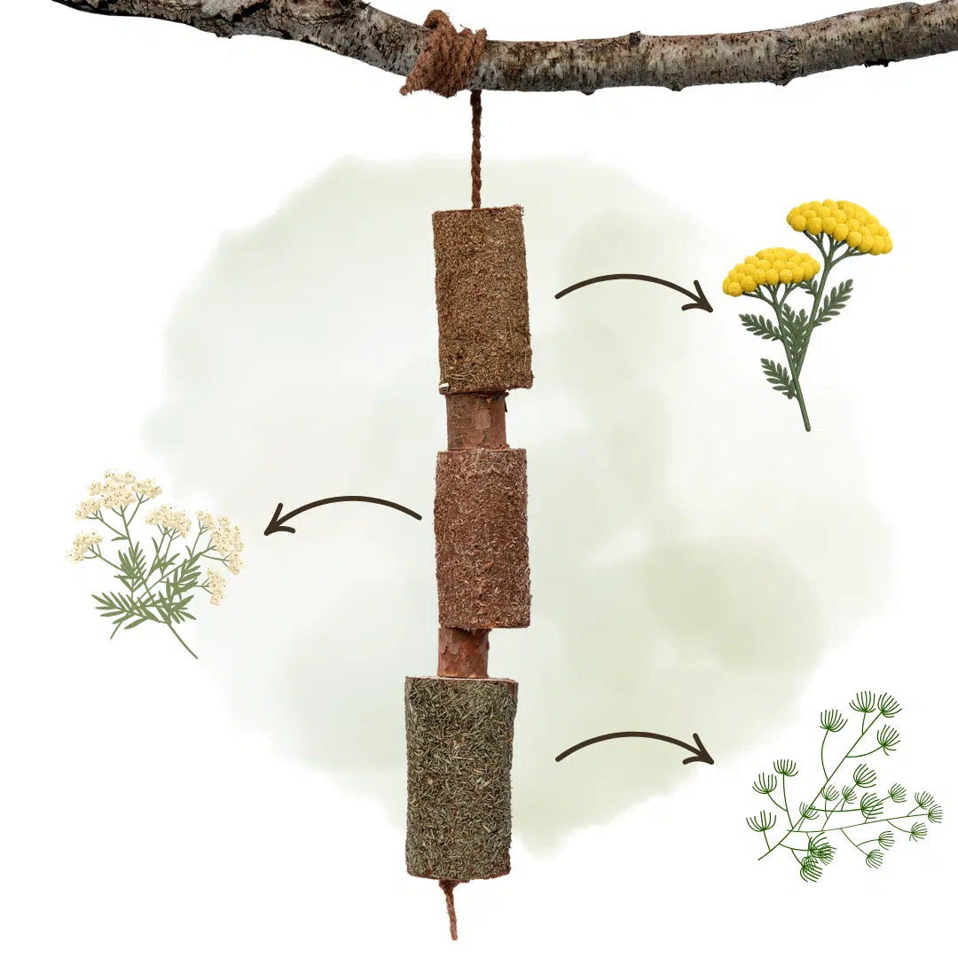 HERBAL WOODEN CANDY HORSE