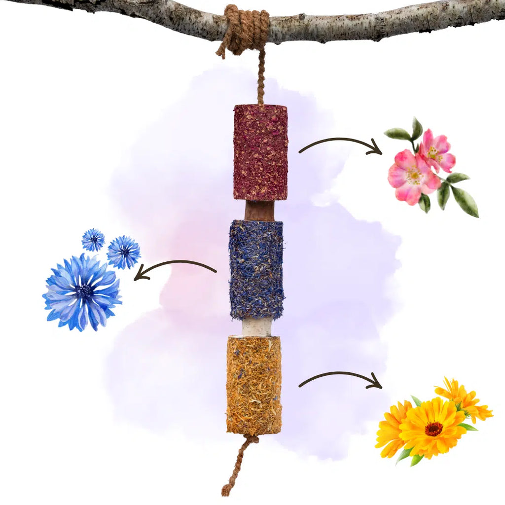 HERBAL WOODEN CANDY HORSE