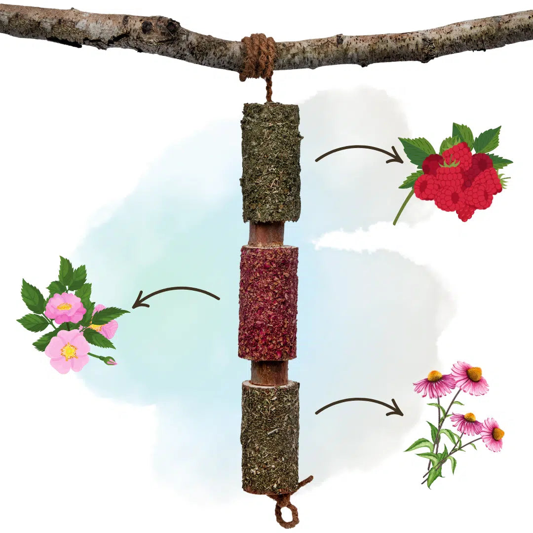 HERBAL WOODEN CANDY HORSE