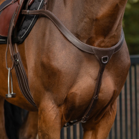 BREASTPLATE LONG BRIDGE QHP