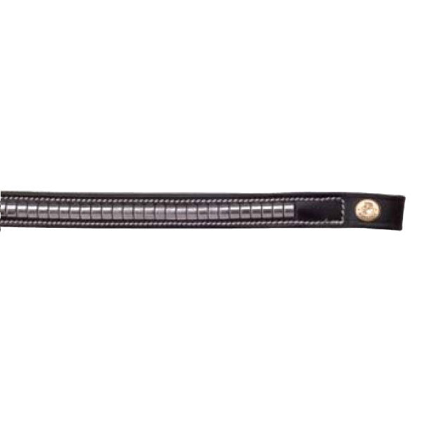 FRONTALINO PARIANI MODELLO CLINCHER