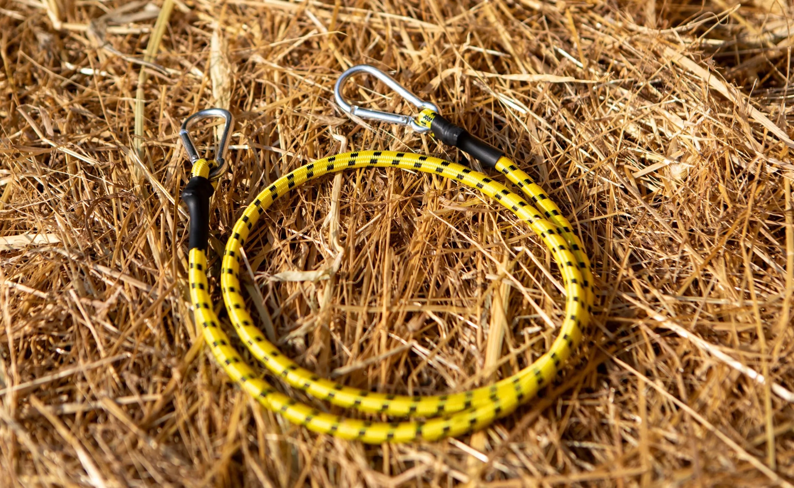 HORSEWIPE LOOP