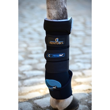 Immagine di STABLE BOOTS MAGNETI KENTUCKY