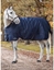 Immagine di COPERTA PADDOCK EQUILINE CALANTHA 400GR