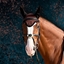 Immagine di CUFFIA  eQUICK