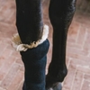 Immagine di THERAPEUTIC WOOL  KENTUKY