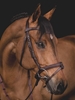 Immagine di TESTIERA ANATOMICA EQUILINE BJ300